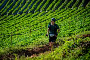 BIB: 1906
                            <button type="button" onclick="openModal(19160435)" class="btn btn-primary btn-sm float-right btn-popup" data-toggle="modal" data-target=".modal-high-quality">
                        <i class="fas fa-shopping-cart"></i> Add to Cart
                    </button>
                                            <button type="button" onclick="isThisMe(19160435, true)" class="btn btn-success btn-sm float-right btn-popup btn-isme hidden" data-toggle="tooltip" data-placement="bottom" title="นี่คือรูปของคุณใช่ไหม คลิกที่นี่เพื่อเอาเข้าอัลบั้ม">
                        <i class="fas fa-plus"></i> Add to album
                    </button>
                    <button type="button" onclick="isThisMe(19160435, false)" class="btn btn-warning btn-sm float-right btn-popup btn-isnotme hidden">
                        <i class="fas fa-ban"></i> Remove from album
                    </button>